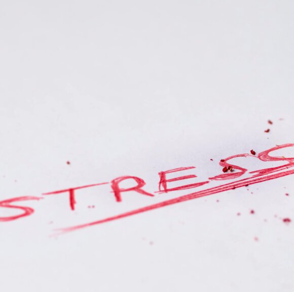 Neue Online-Seminare: Stressbewältigung und Resilienz