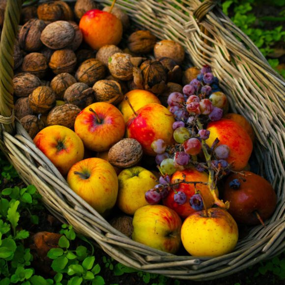 Tolle Übersicht: gesunder Lebensstil bei MS