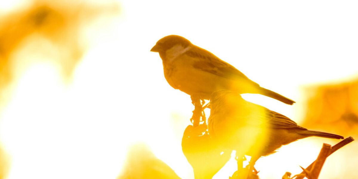 yogesh-pedamkar-V41PulGL1z0-unsplash
